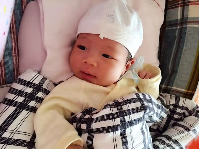 小捣蛋